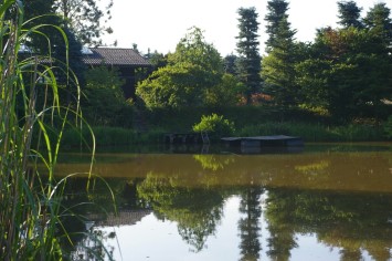 renken_teich_355.jpg